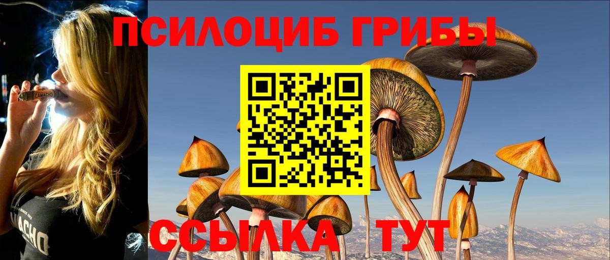 купить наркоту  Вход с VPN  Кирово-Чепецк  Галлюциногенные грибы Psilocybine cubensis 
