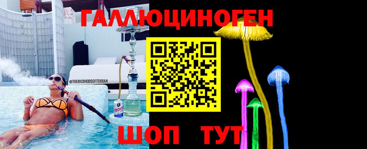 Галлюциногенные грибы Psilocybine cubensis Кирово-Чепецк